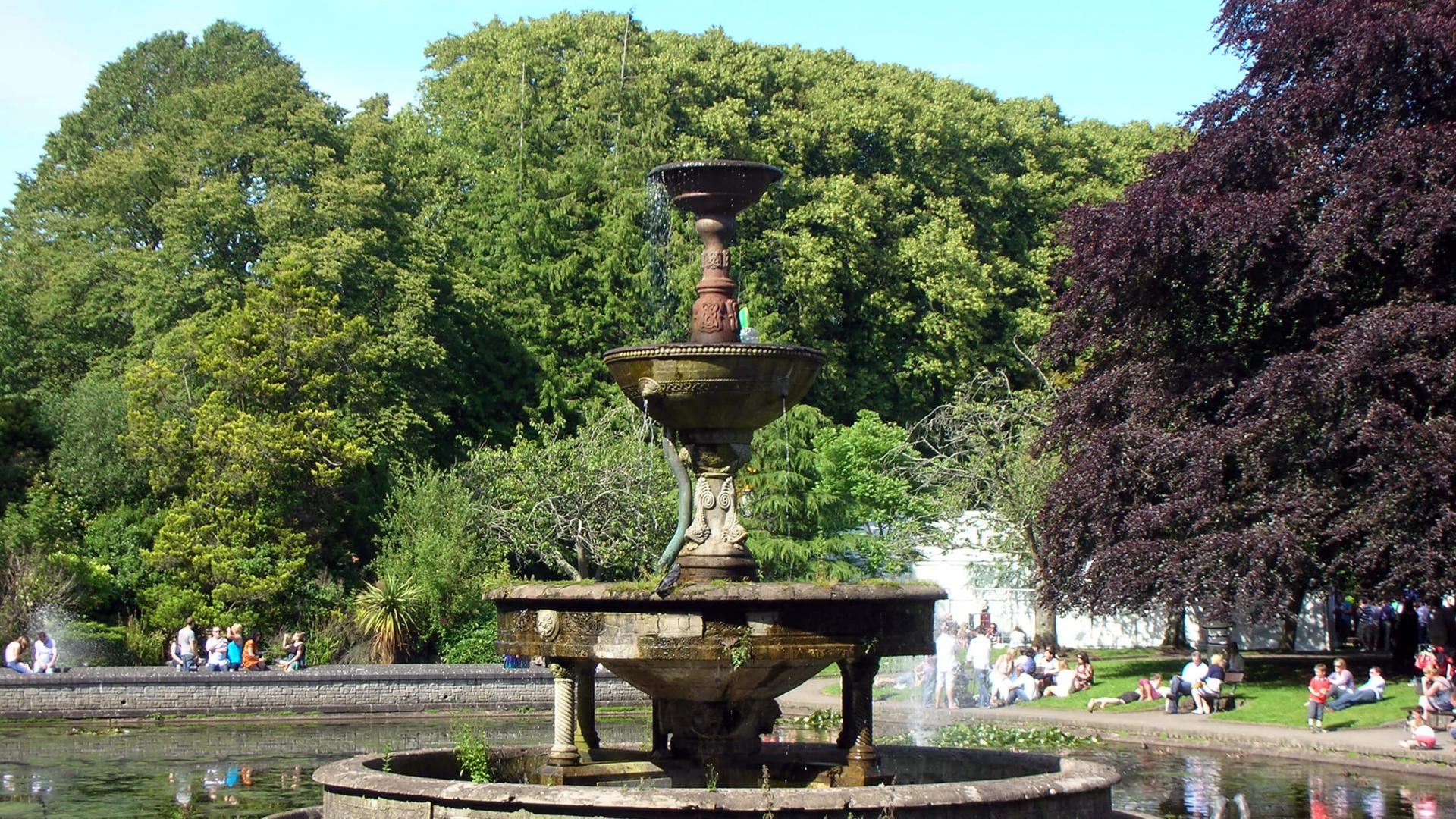 Biodiversity in Cork City | The Imperial Hotel