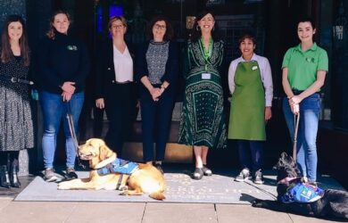 guidedogs